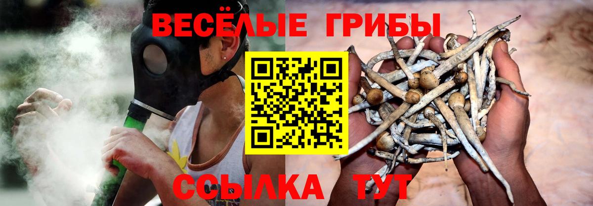 Галлюциногенные грибы Psilocybine cubensis  Вход с VPN  Ессентуки 